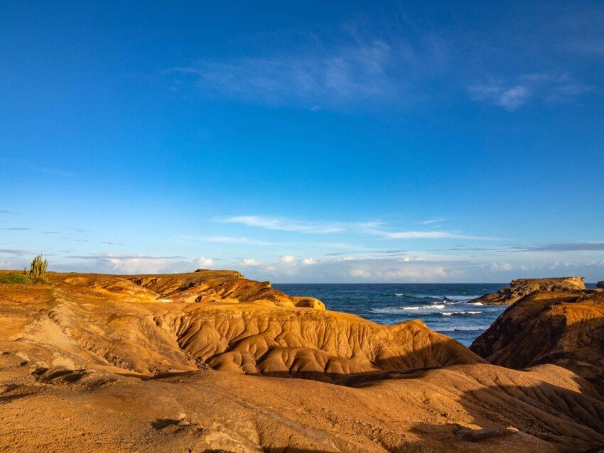 🏞️ 석화 사바나(사반 데 페트리피카시옹)